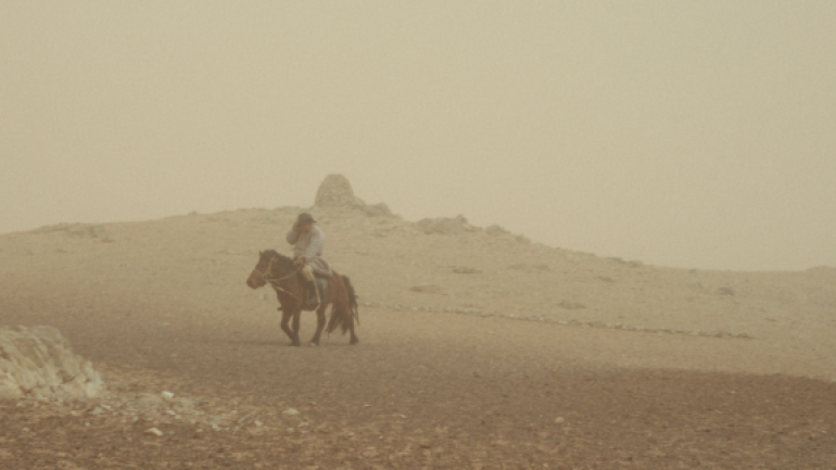 The Wolves Always Come at Night