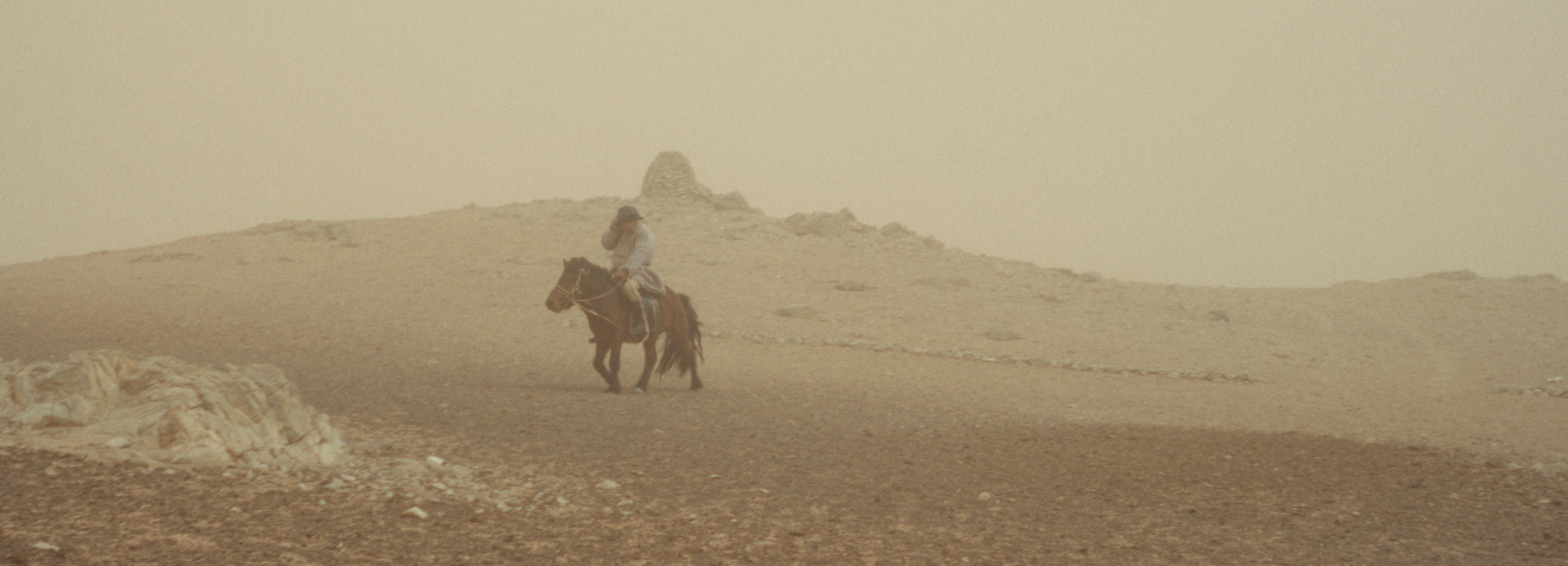 The Wolves Always Come at Night