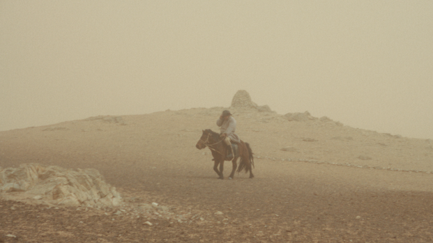 The Wolves Always Come at Night